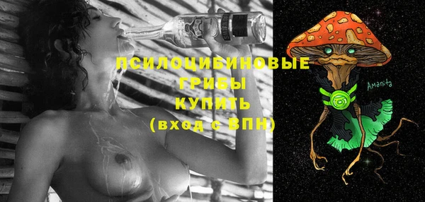 соль курить ск Пестово