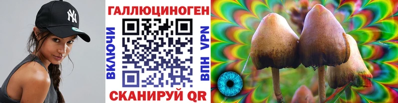 Галлюциногенные грибы Psilocybine cubensis  Полярные Зори 