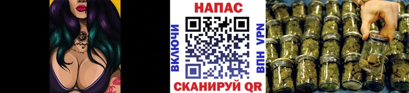 Марихуана план закладка Полярные Зори